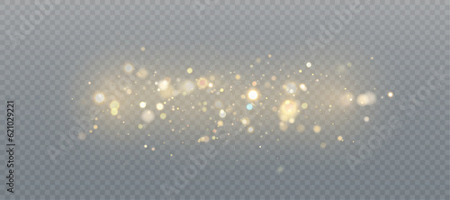 Light effect with lots of glittery highlights, bokeh effect shining on transparent background for christmas new year design. And illustrations. Vector