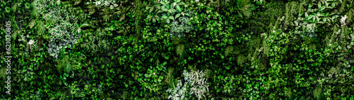 Herb wall, plant wall, natural green wallpaper and background. nature wall. Nature background of green forest 32:9
