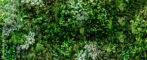 Foto Herb wall, plant wall, natural green wallpaper and background