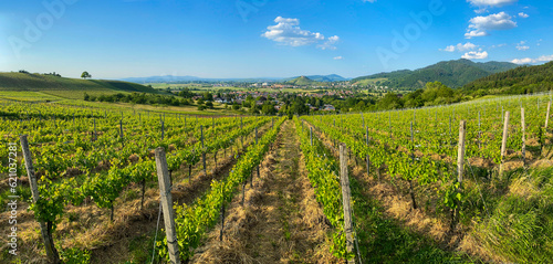 Staufen_im_Breisgau_4137