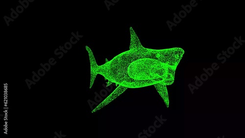 3D White Shark rotates on black bg. Megalodon is the Most predator in the ocean. Wild animals concept. For title, text, presentation. Object made of shimmering particles. 3d animation 60 FPS