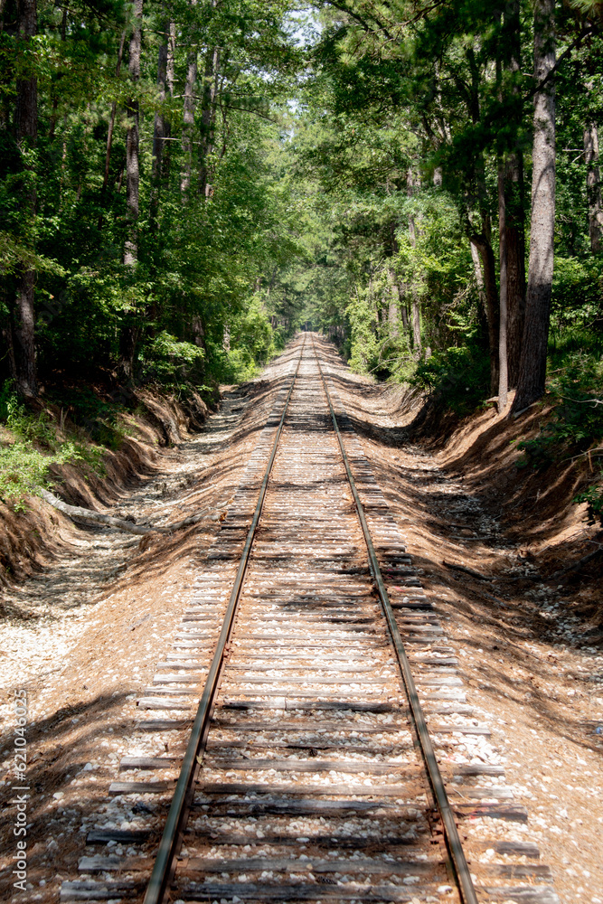 Railroad tracks through the forest