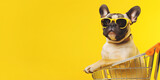 Cheerful french bulldog dog in a supermarket trolley on a yellow background. Banner, copy space. AI generation