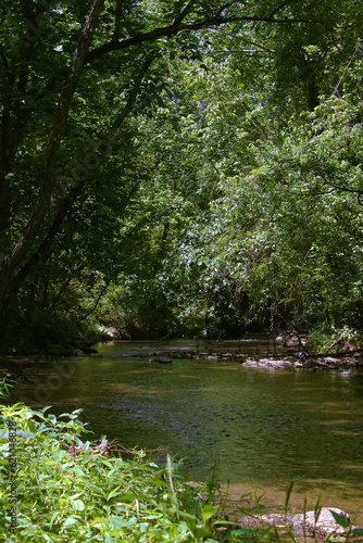 A beautiful day over a small stream