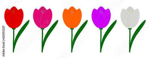 Tulips flowers set