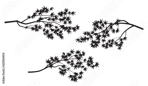 Set of Maple Tree Branches Silhouette