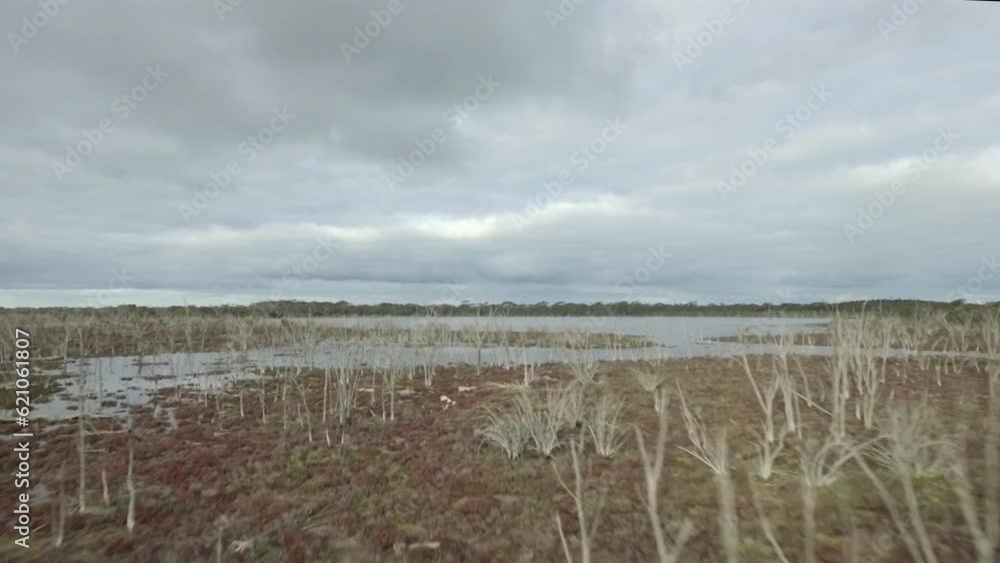 Australian rural scenes - salt lake and trees Australian rural scenes - salt lake and trees