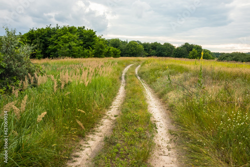 Dirt road in a meadow in the countryside with trees on a cloudy day