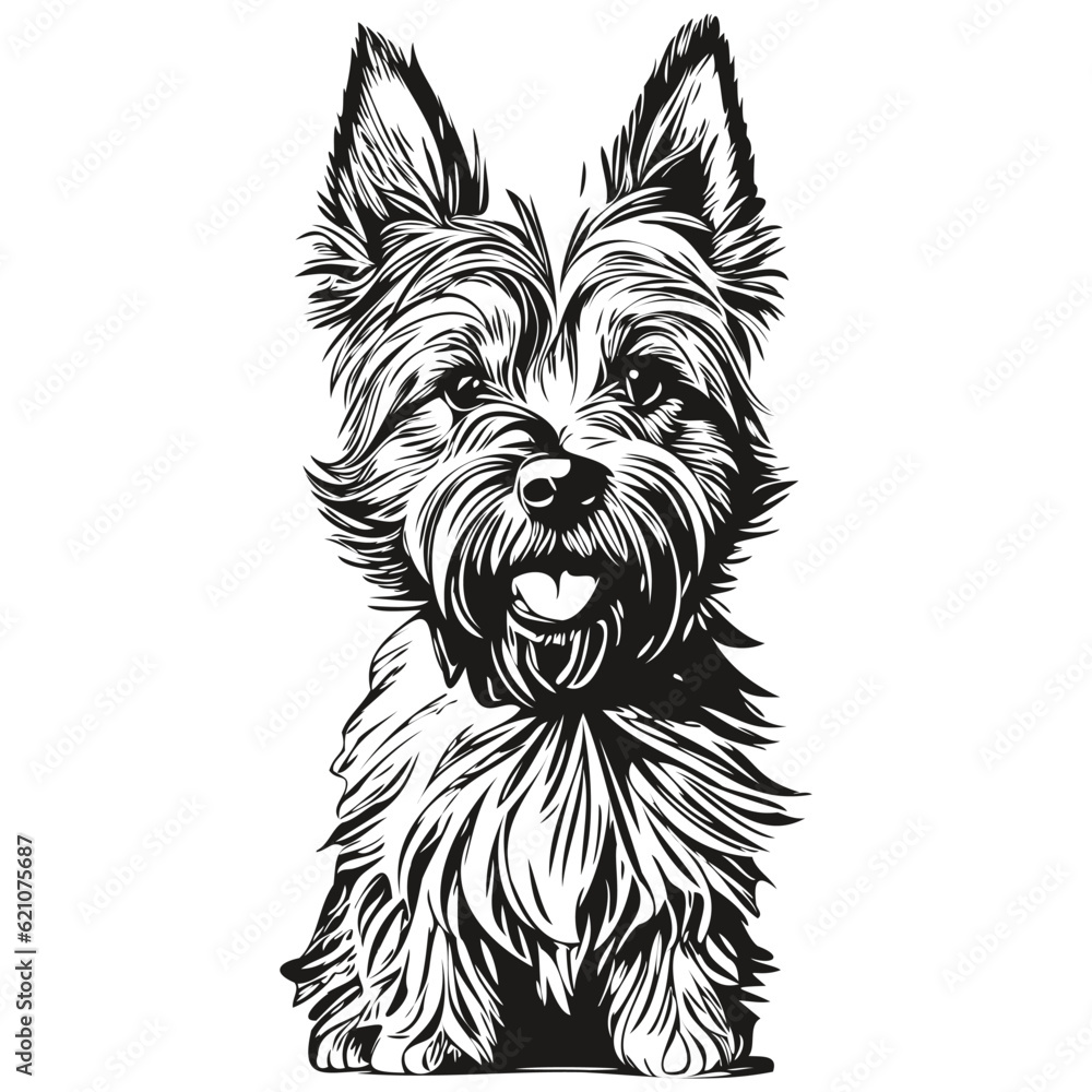 Cairn Terrier dog realistic pencil drawing in vector, line art ...