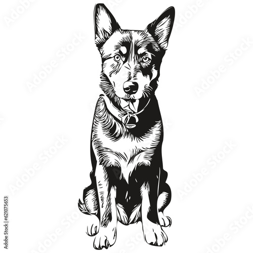 Beauceron dog cartoon face ink portrait, black and white sketch drawing, tshirt print