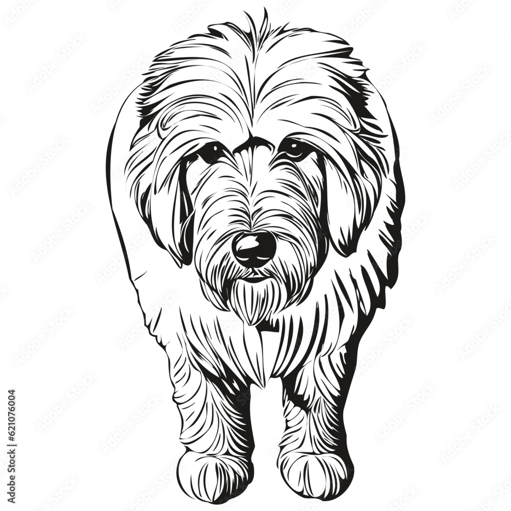 Old English Sheepdog dog face vector portrait, funny outline pet
