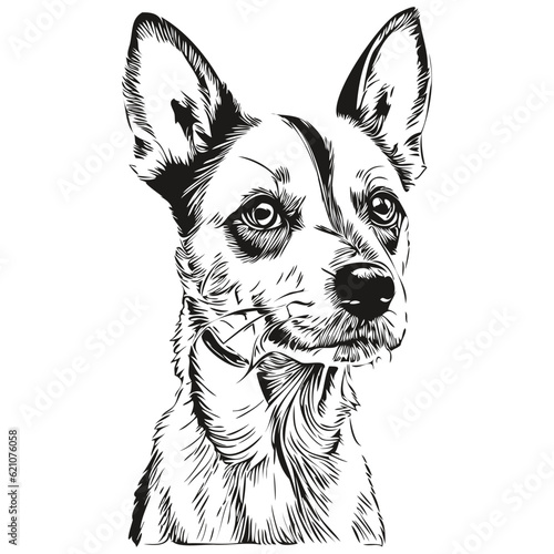 Rat Terrier dog silhouette pet character, clip art vector pets drawing black and white