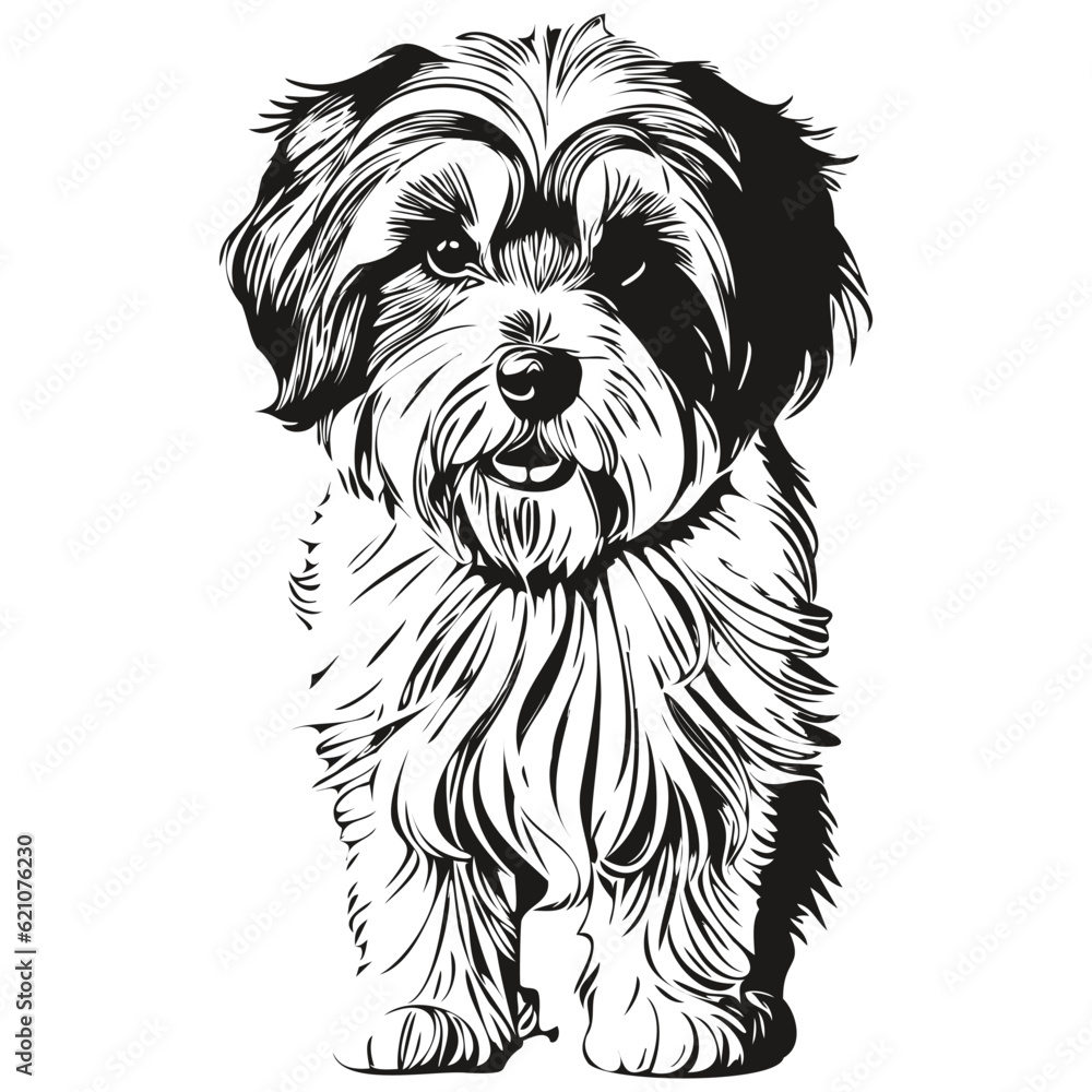 Tibetan Terrier dog logo vector black and white, vintage cute dog head engraved