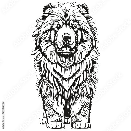 Tibetan Mastiff dog outline pencil drawing artwork, black character on white background