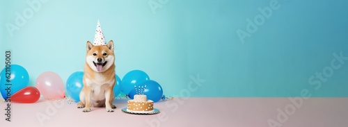 Shiba Inu dog wearing a birthday hat waiting on a cake, canine  dog happy birthday, generative ai