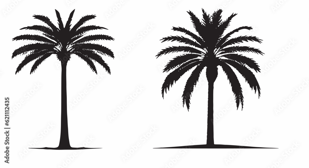 Obraz premium Date Palm Tree Silhouette black and white vector