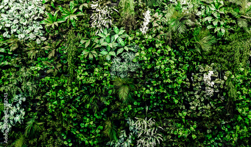 Fototapeta Naklejka Na Ścianę i Meble -  Herb wall, plant wall, natural green wallpaper and background. nature wall. Nature background of green forest