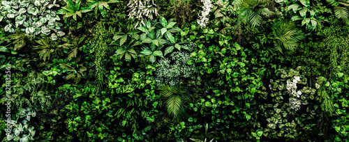 Herb wall, plant wall, natural green wallpaper and background. nature wall. Nature background of green forest © kanpisut