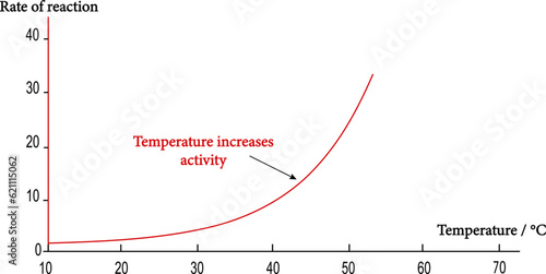 The effects of temperature on enzyme activity.Enzyme activity curve.increasing temperature increases the rate of reaction