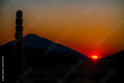 A desert cactus silhouetted against a fiery sunset