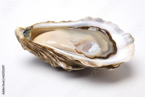 Shucked oyster, a delicacy enjoyed raw or cooked, isolated on a white background
