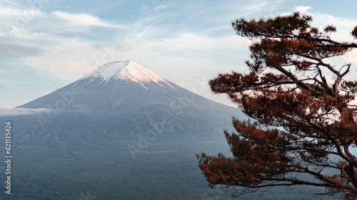 Mount Fuji and red trees