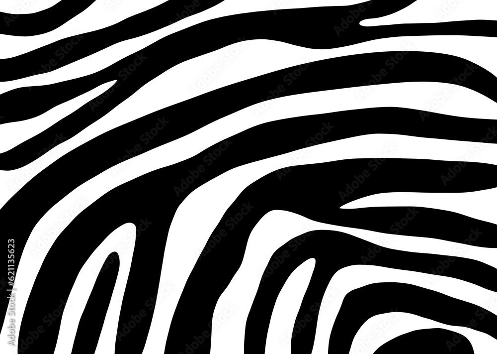 drawing color black lines