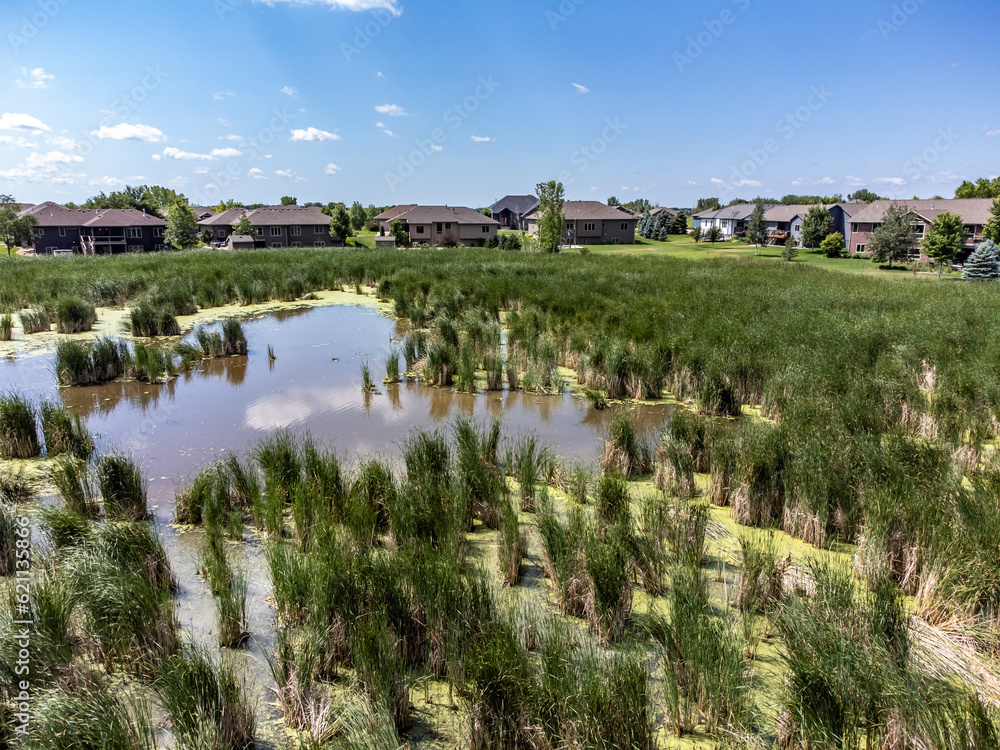Drone view over marsh wetland and cattails in a drainage area between ...