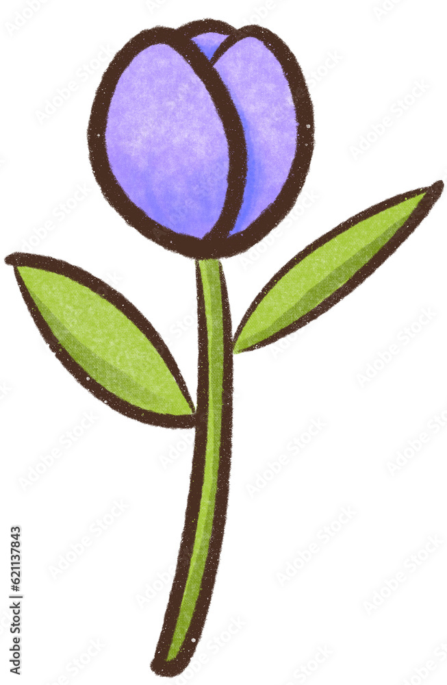 Obraz premium Tulip purple