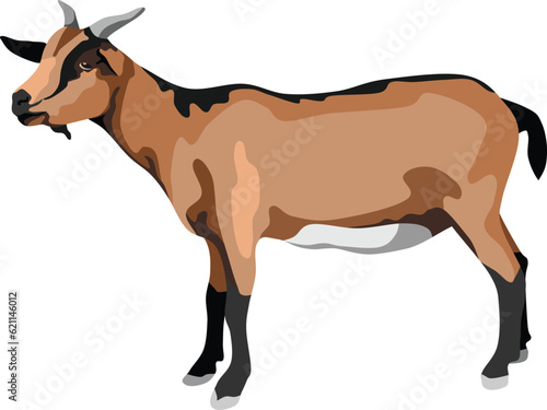 Brown Goat Mammal Animal Vector