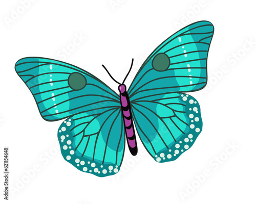  Butterfly isolated on white background vector illustration