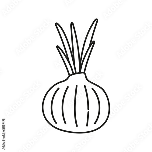 Whole onion doodle icon on a white background. 