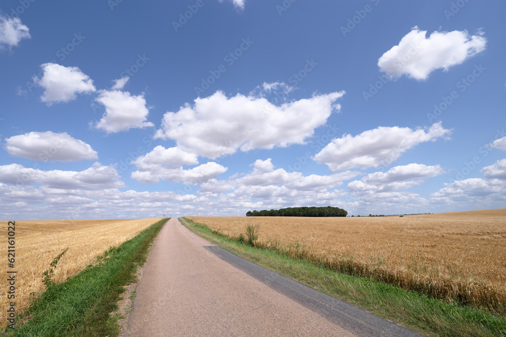 Country road and wheat fields near Pithiviers city. Centre-Val-De-Loire region