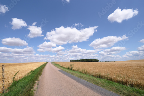 Country road and wheat fields near Pithiviers city. Centre-Val-De-Loire region © hassan bensliman