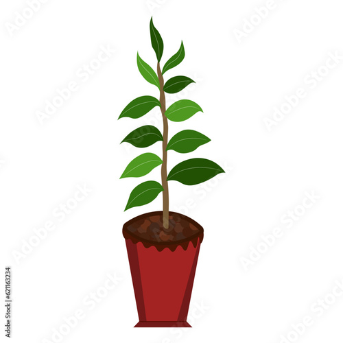 Decorative tree planted in flowerpot Vector Illustration