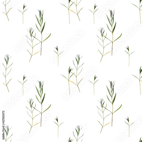 Seamless floral pattern with delicate thin green twigs.  © Yuliia