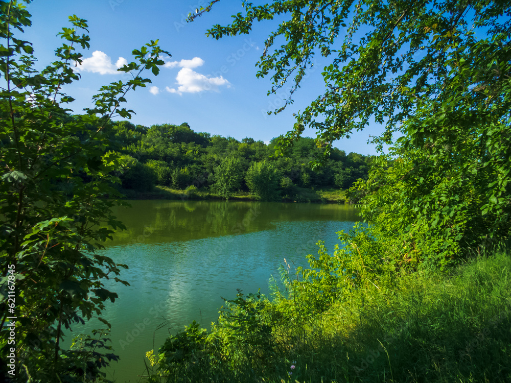 lake in the forest