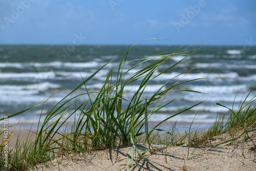 Baltic sea coast in windy day  Latvia.