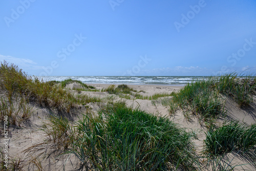 Baltic sea coast in windy day  Latvia.