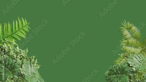 leaf plant nature summer animation