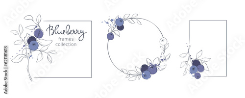 Blueberry - vector illustration. Set of frames with a branches, leaves and berries. Outline drawing with colorful splash elements, freehand drawing.