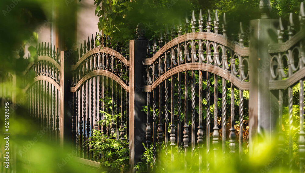 Fototapeta premium Wrought Iron Fence. Metal fence 