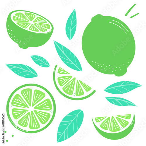 Lime vector clip art set, flat illustration with leaves