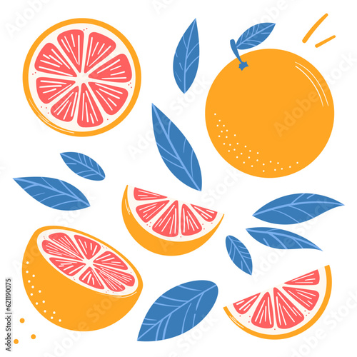 Grapefruit vector clip art set, citrus fruit illustration with leaves