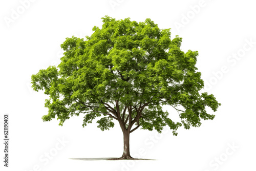 A tree against a transparent background, Generative Ai