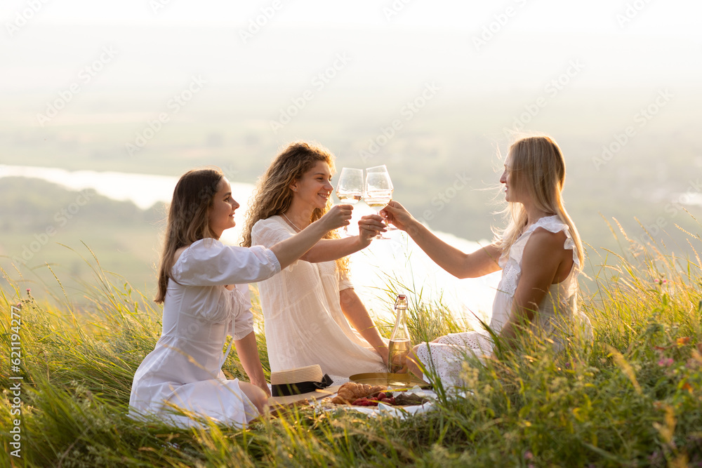 The company of female friends enjoys a summer picnic and raise glasses with wine.