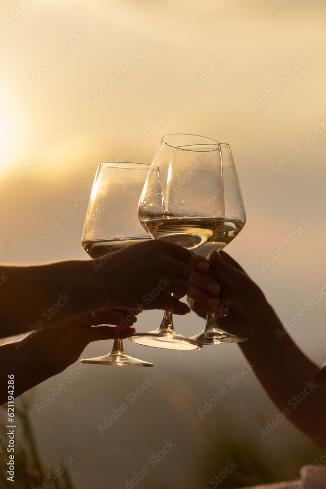 Close-up of the girls' hands as they clink glasses with wine.