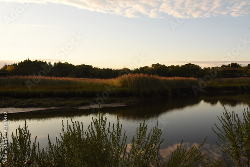 Fantastic Look at Sun Reflecting on Marsh Grass