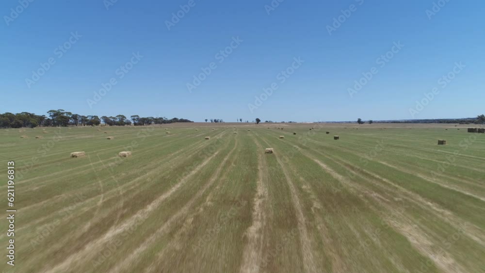 Australian rural scenes Wheatbelt 4K farming scenes Australian rural scenes Wheatbelt 4K farming scenes