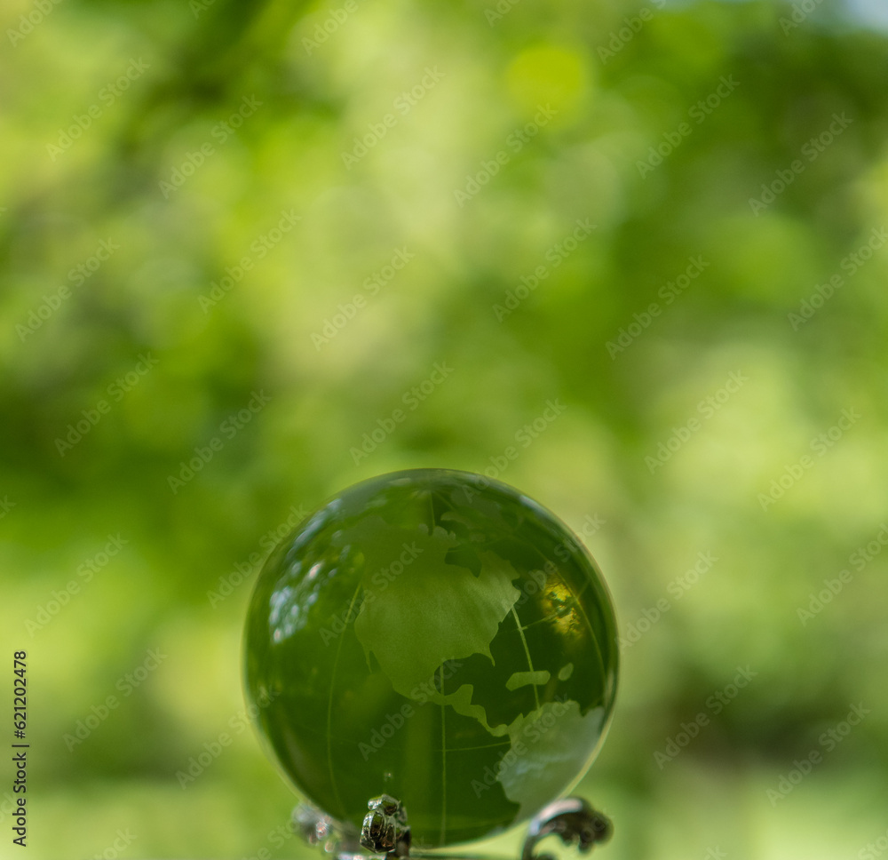 glass earth globe in forest